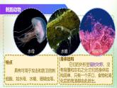 （浙教版2024）七年级上册科学同步课件2-3 多姿多彩的动物（第1课时）课件