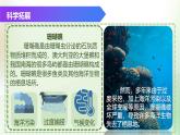 （浙教版2024）七年级上册科学同步课件2-3 多姿多彩的动物（第1课时）课件