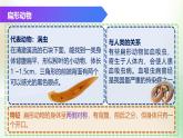 （浙教版2024）七年级上册科学同步课件2-3 多姿多彩的动物（第1课时）课件