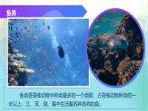 （浙教版2024）七年级上册科学同步课件2-3 多姿多彩的动物（第2课时） 课件