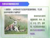 （浙教版2024）七年级上册科学同步课件2-5 生物的多样性（第1课时） 课件