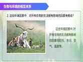 （浙教版2024）七年级上册科学同步课件2-5 生物的多样性（第1课时） 课件