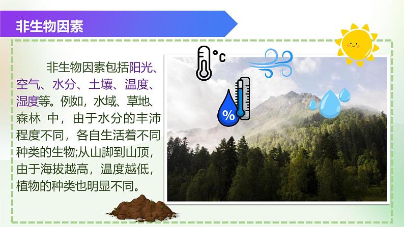 （浙教版2024）七年级上册科学同步课件2-5 生物的多样性（第1课时） 课件06