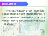 （浙教版2024）七年级上册科学同步课件2-5生物的多样性（第2课时） 课件