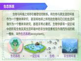 （浙教版2024）七年级上册科学同步课件2-5生物的多样性（第2课时） 课件
