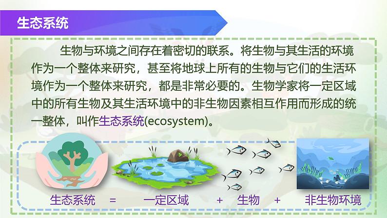 （浙教版2024）七年级上册科学同步课件2-5生物的多样性（第2课时） 课件04