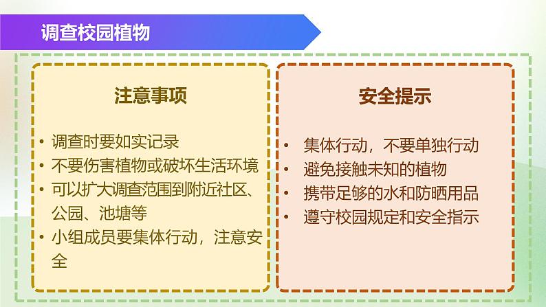 （浙教版2024）七年级上册科学同步课件2.2 形形色色的植物（第1课时）课件第4页