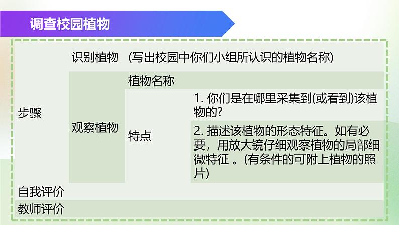 （浙教版2024）七年级上册科学同步课件2.2 形形色色的植物（第1课时）课件第6页