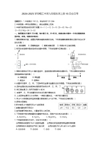 浙江省绍兴市越城区袍江中学2024-2025学年九年级上学期10月月考科学试题