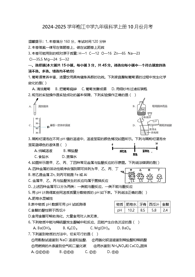 浙江省绍兴市越城区袍江中学2024-2025学年九年级上学期10月月考科学试题01