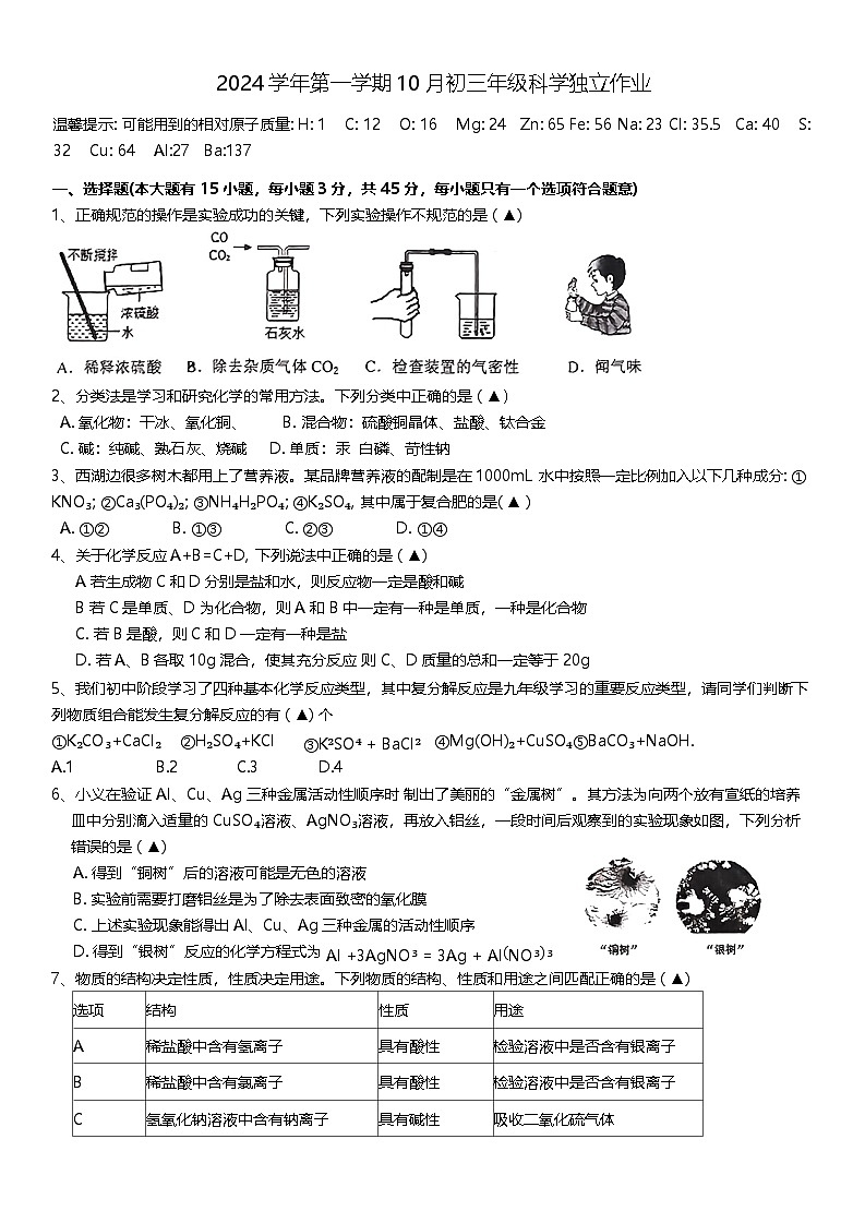 浙江省绍兴市越城区昌安实验学校2024-2025学年九年级上学期10月月考科学试题第1页