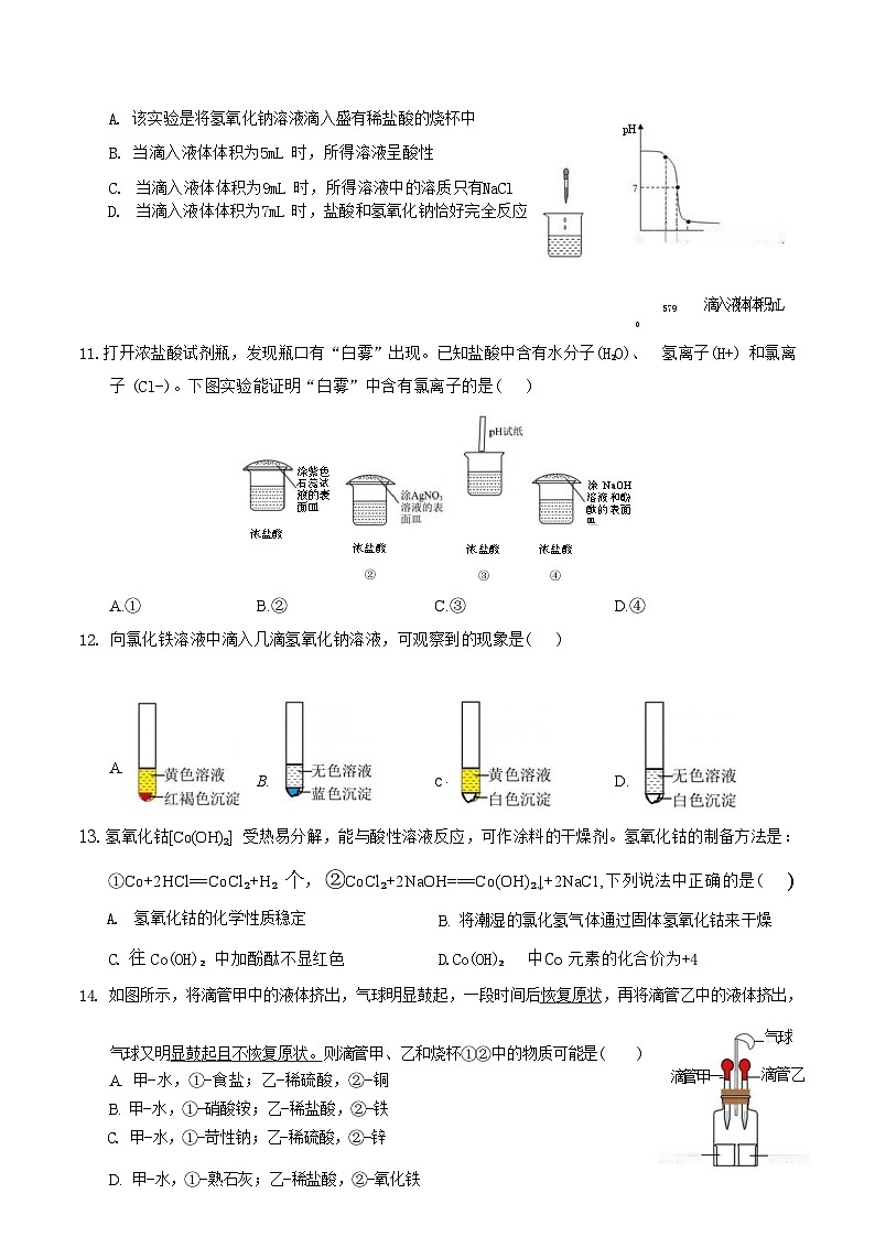 2024学年温州市第十二中学九年级上册9月月考科学试卷及解析（word版，含答案）03