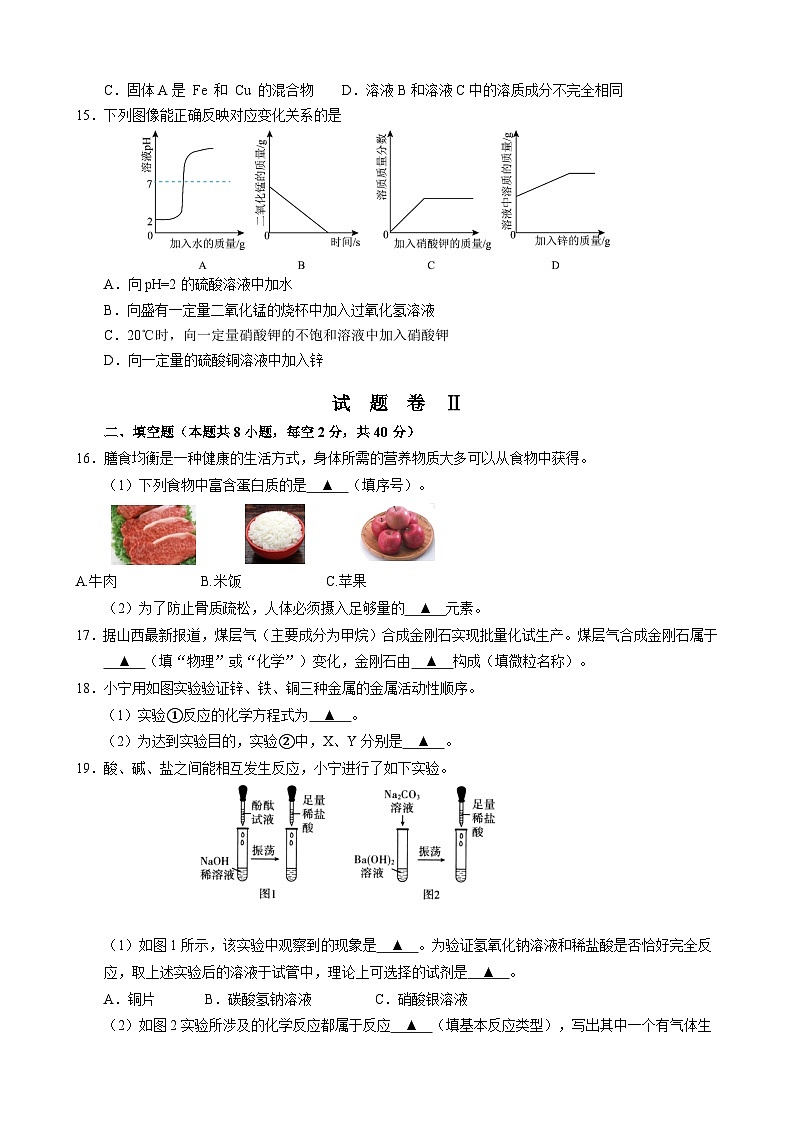 浙江省宁波市鄞州区十二校联考2024-2025学年九年级上学期10月月考科学试题第3页