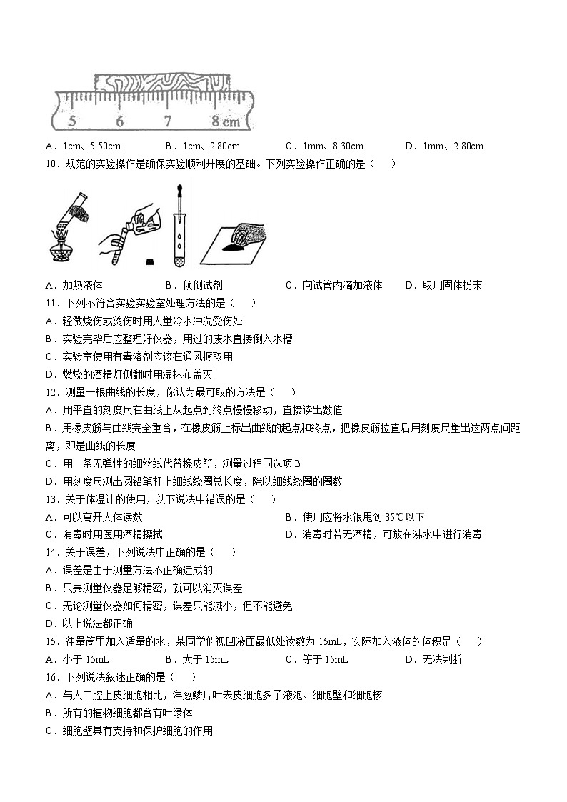 浙江省台州市黄岩区九峰学校2024-2025学年七年级上学期10月月考科学试题卷(无答案)第2页