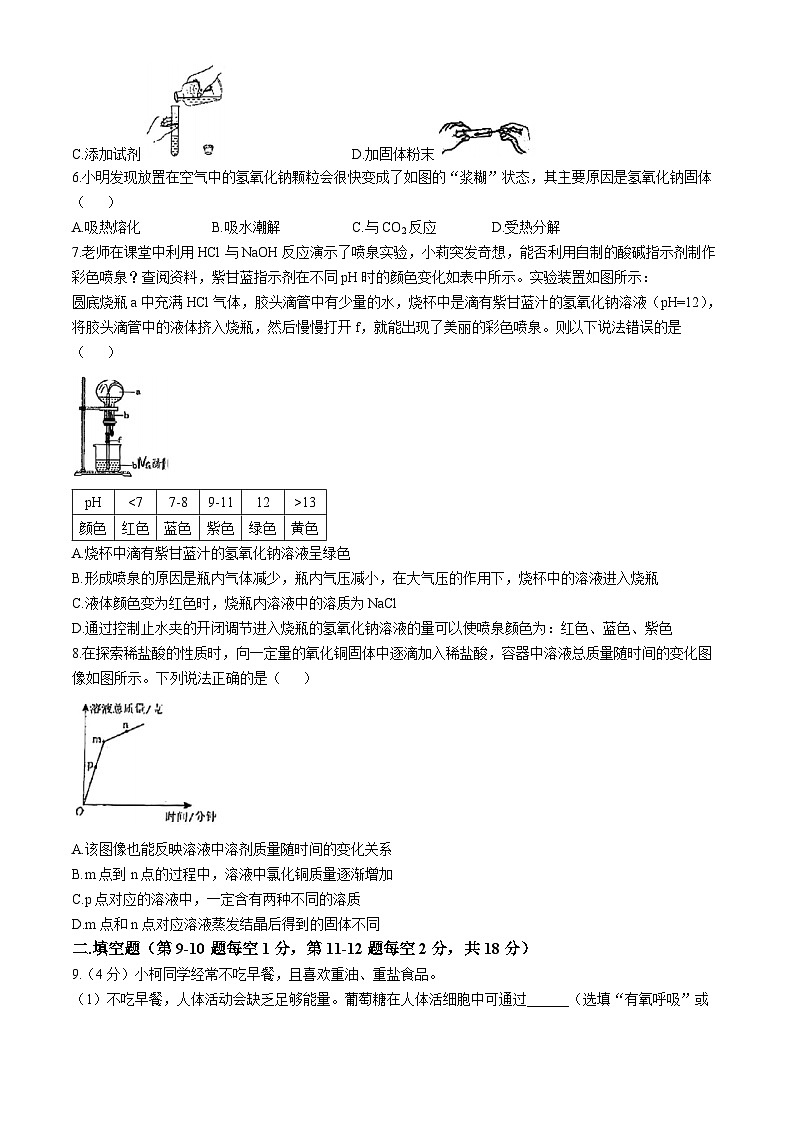 浙江省杭州启正中学2024-2025学年九年级上学期10月月考科学试题(无答案)第2页