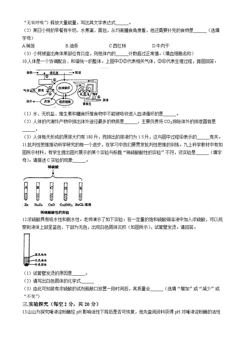 浙江省杭州启正中学2024-2025学年九年级上学期10月月考科学试题(无答案)第3页