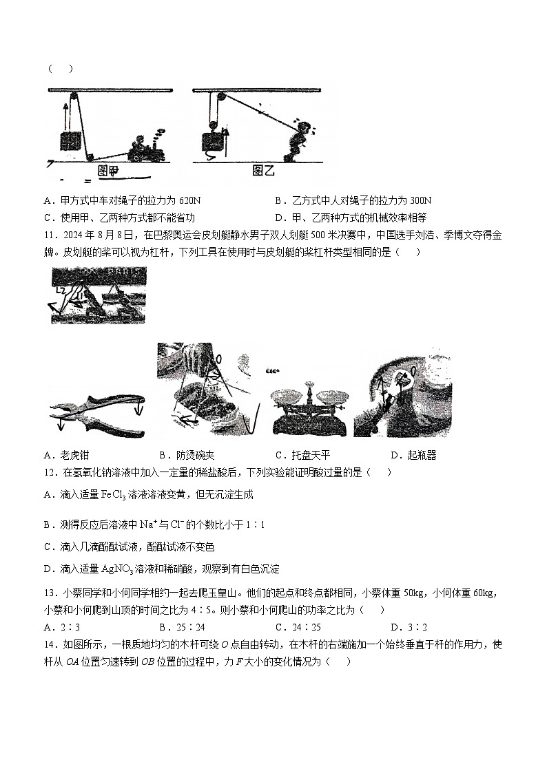 浙江省杭州市采荷中学2024-2025学年九年级上学期10月月考科学试题(无答案)第3页