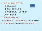 浙教版科学八年级上册第3章  生命活动的调节 复习课件