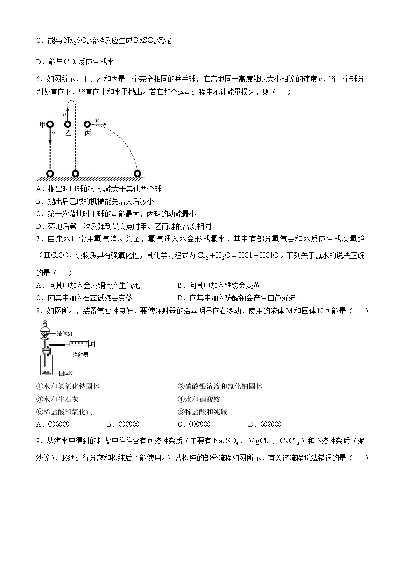 浙江省杭州市杭州中学2024-2025学年九年级上学期10月月考科学试卷(无答案)第2页