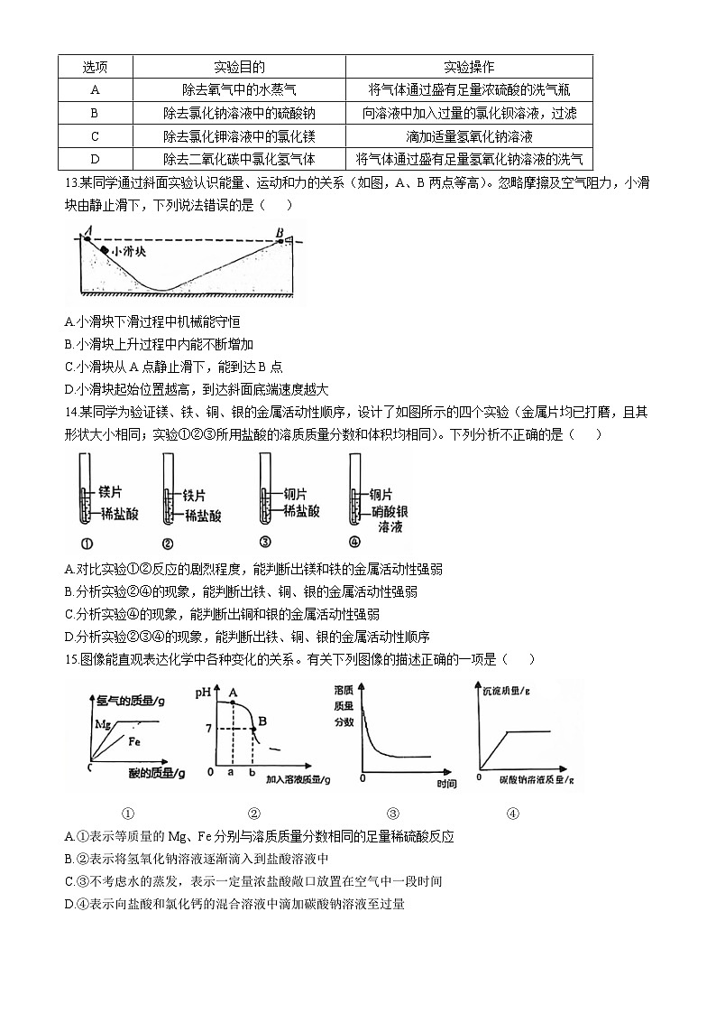 浙江省温州市森马协和国际学校2024-2025学年九年级上学期期中科学试卷03