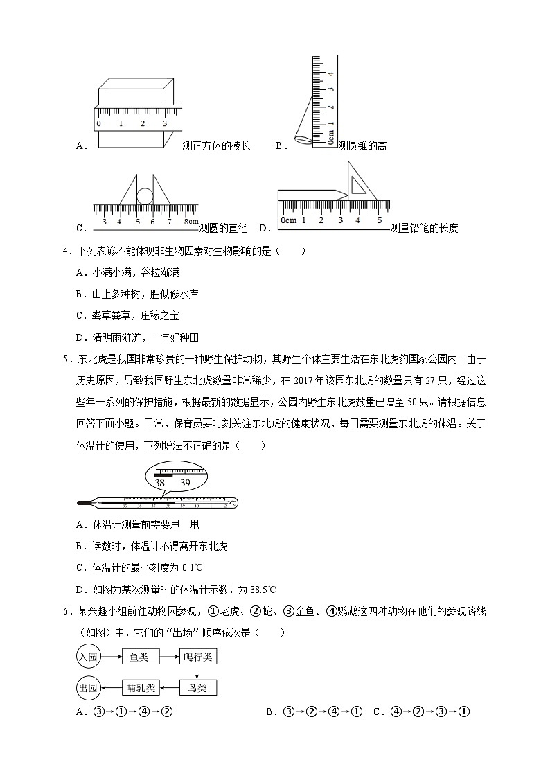 浙教版（2024）科学七上期中测试卷（A） 含答案02