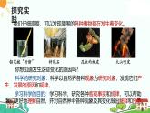 浙教版2024七年级上册科学第1节  科学并不神秘   课件