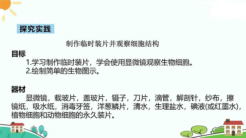 浙教版2024七年级上册科学第1节  生物体的基本单位（第3课时）  课件第3页