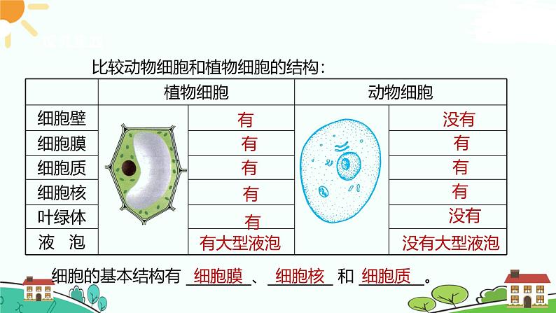 浙教版2024七年级上册科学第1节  生物体的基本单位（第4课时）  课件第6页