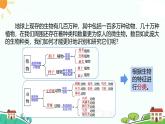 浙教版2024七年級(jí)上冊(cè)科學(xué)第4節(jié)  生物的分類  課件