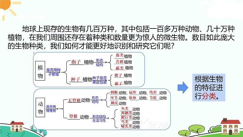 浙教版2024七年级上册科学第4节  生物的分类  课件02