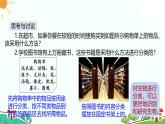 浙教版2024七年級(jí)上冊(cè)科學(xué)第4節(jié)  生物的分類  課件