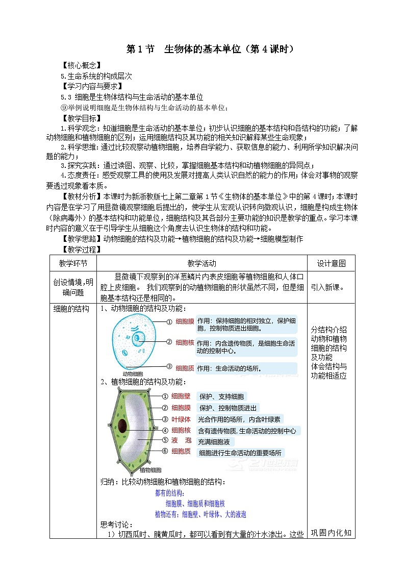 浙教版2024七年级上册科学第2章   第1节  生物体的基本单位（第4课时）  教学设计01