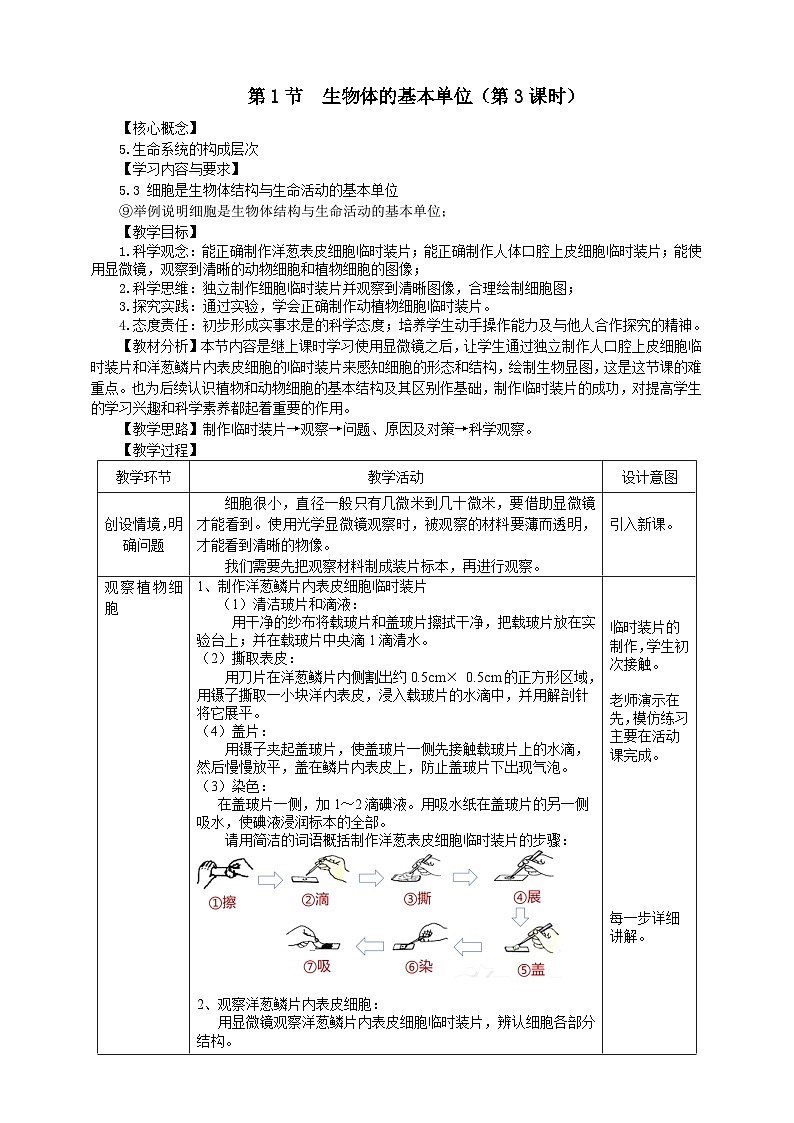 浙教版2024七年级上册科学第2章   第1节  生物体的基本单位（第3课时）  教学设计第1页
