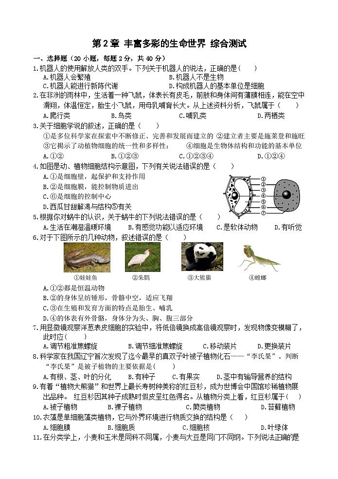 浙教版2024七年级上册科学第2章  丰富多彩的生命世界  综合测试卷第1页
