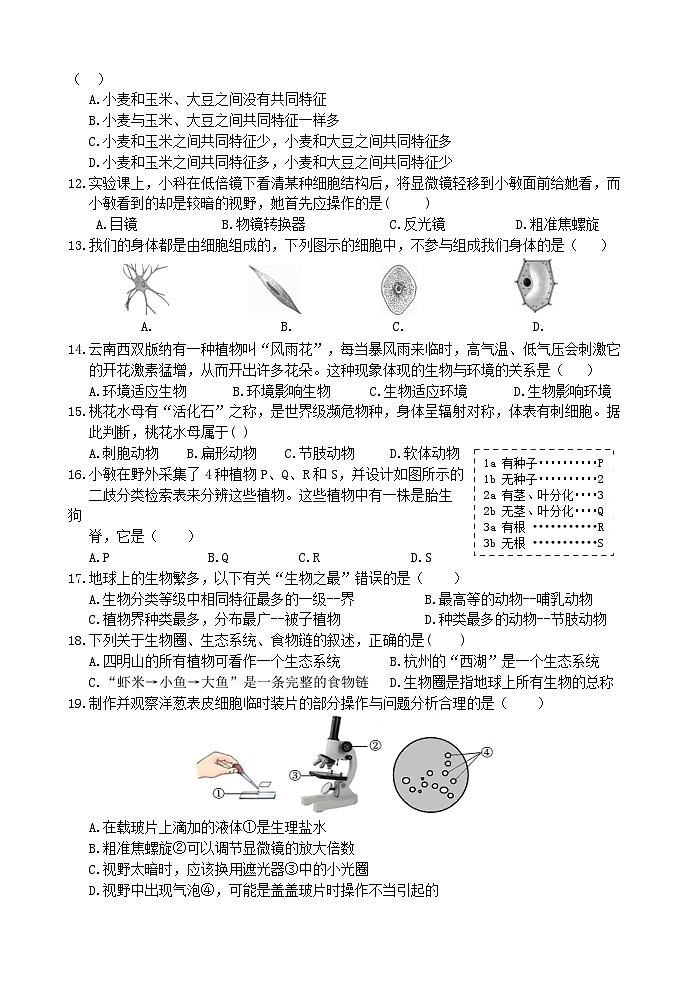 浙教版2024七年级上册科学第2章  丰富多彩的生命世界  综合测试卷第2页
