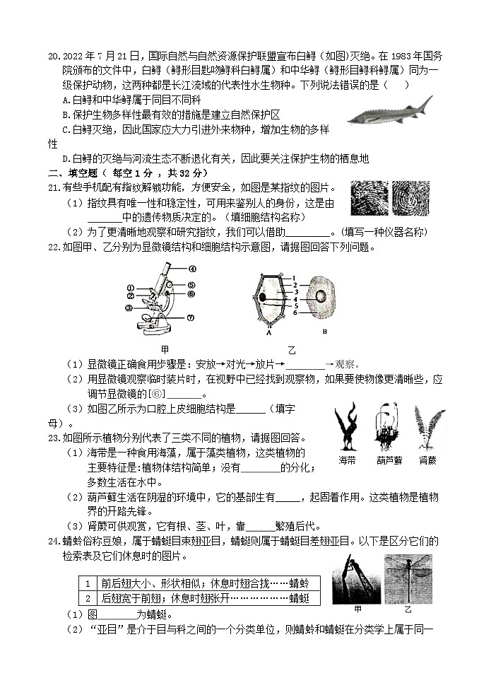 浙教版2024七年级上册科学第2章  丰富多彩的生命世界  综合测试卷第3页