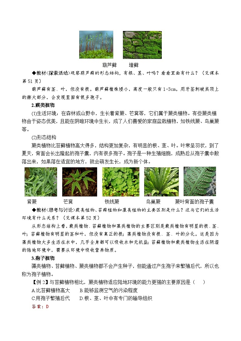 2.2形形色色的植物（解析版）第3页