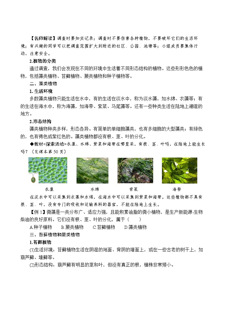 2.2形形色色的植物（原卷版）第2页