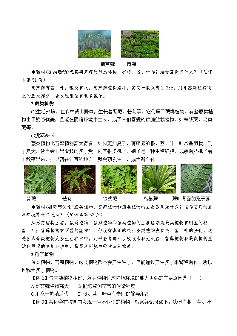 2.2形形色色的植物（原卷版）第3页