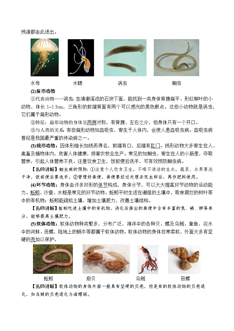 （浙教版2024）七年级上册科学2.3.1多姿多彩的动物——无脊椎动物 同步练习含解析版02