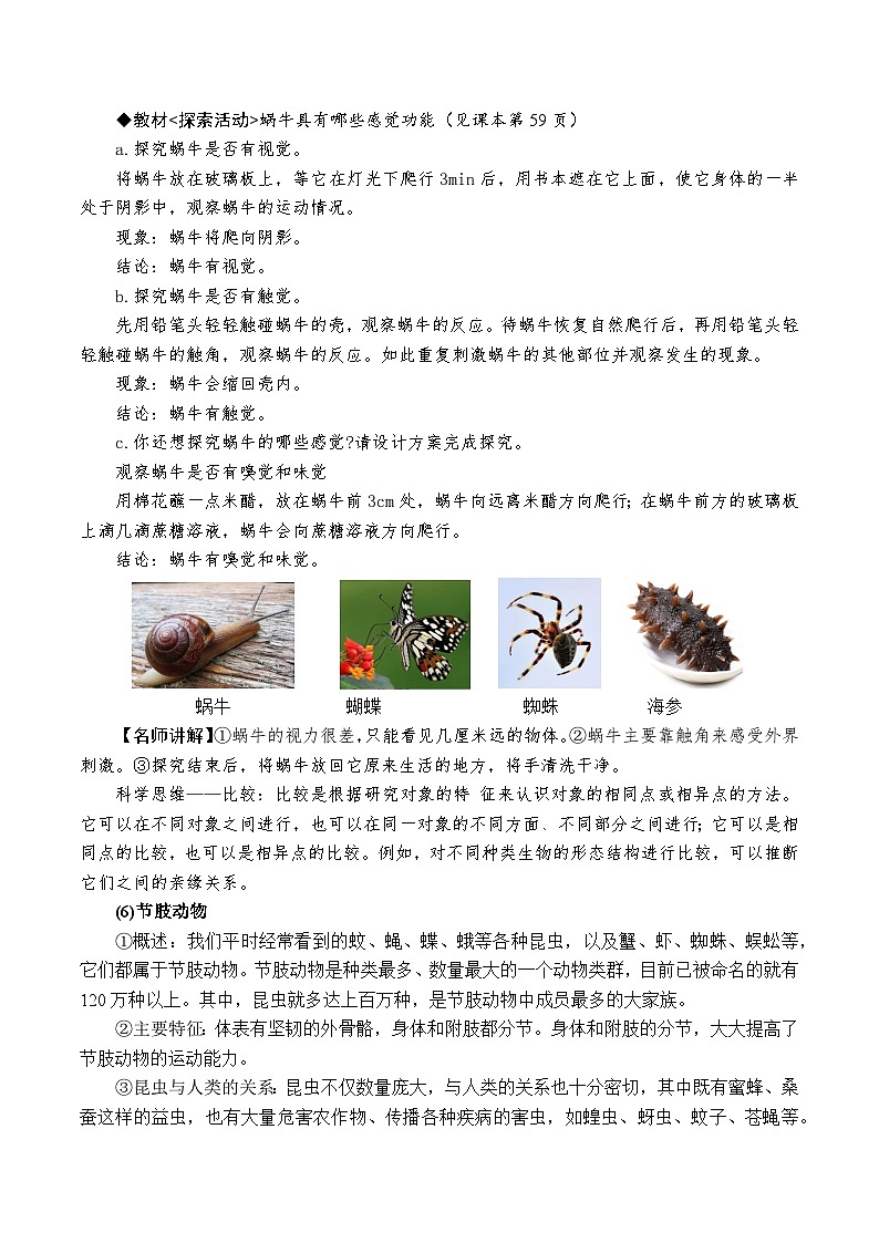 （浙教版2024）七年级上册科学2.3.1多姿多彩的动物——无脊椎动物 同步练习含解析版03