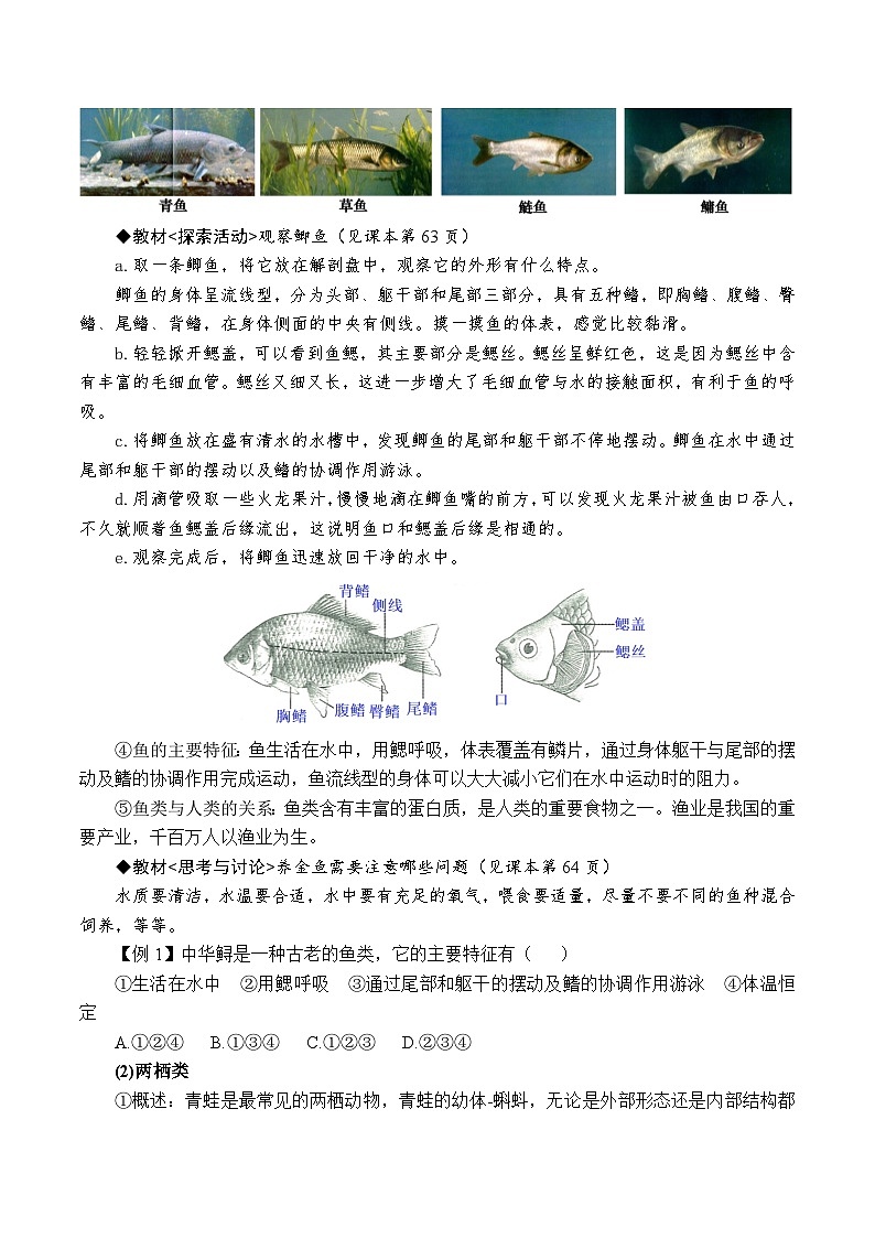 2.3.2多姿多彩的动物——脊椎动物（原卷版）第2页