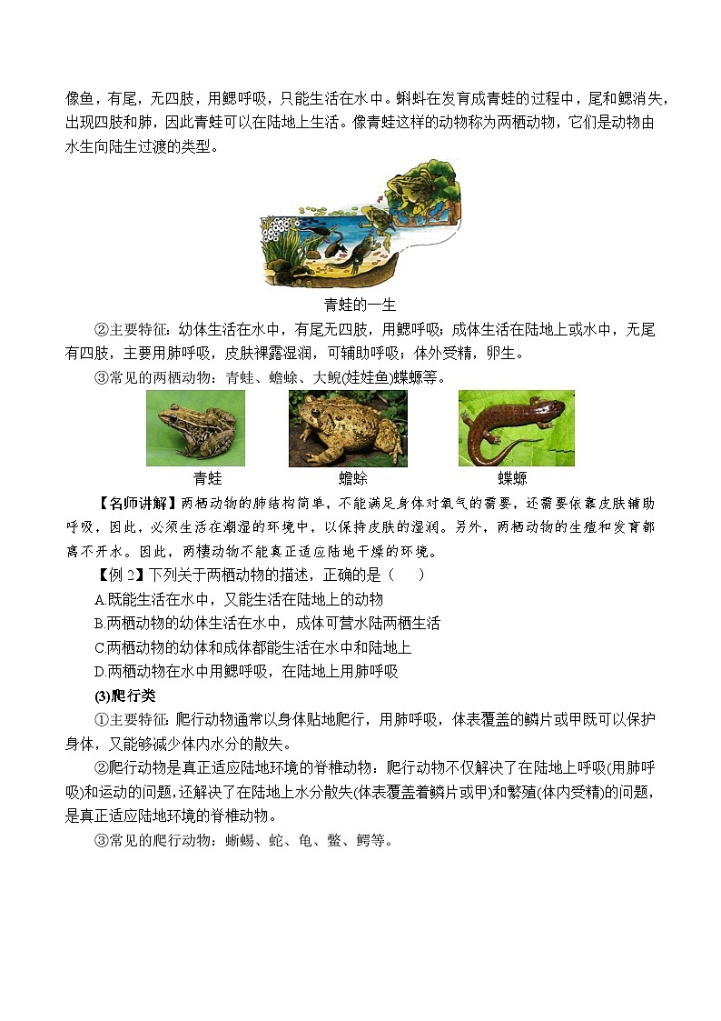 2.3.2多姿多彩的动物——脊椎动物（原卷版）第3页