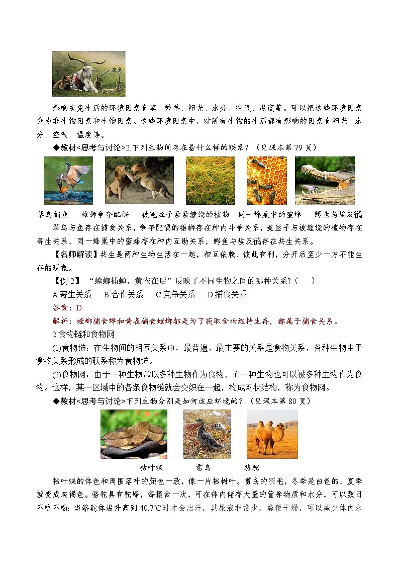 2.5生物的多样性（解析版）第3页