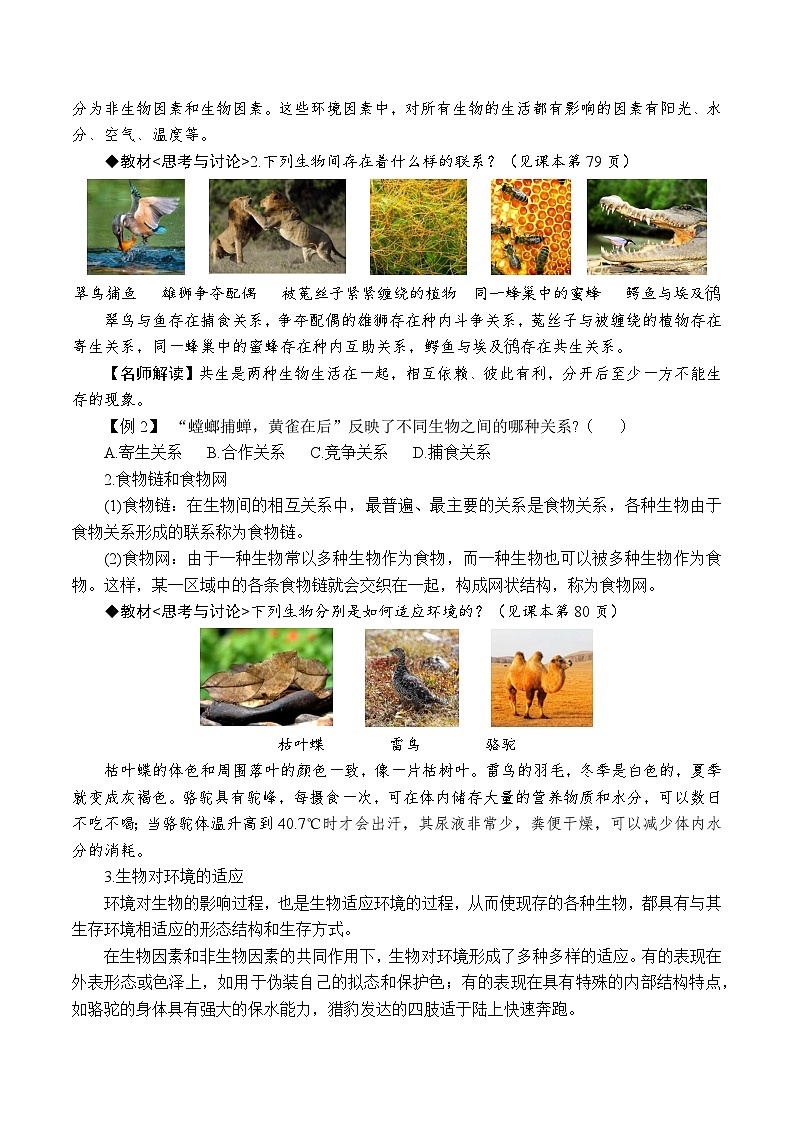 2.5生物的多样性（原卷版）第3页