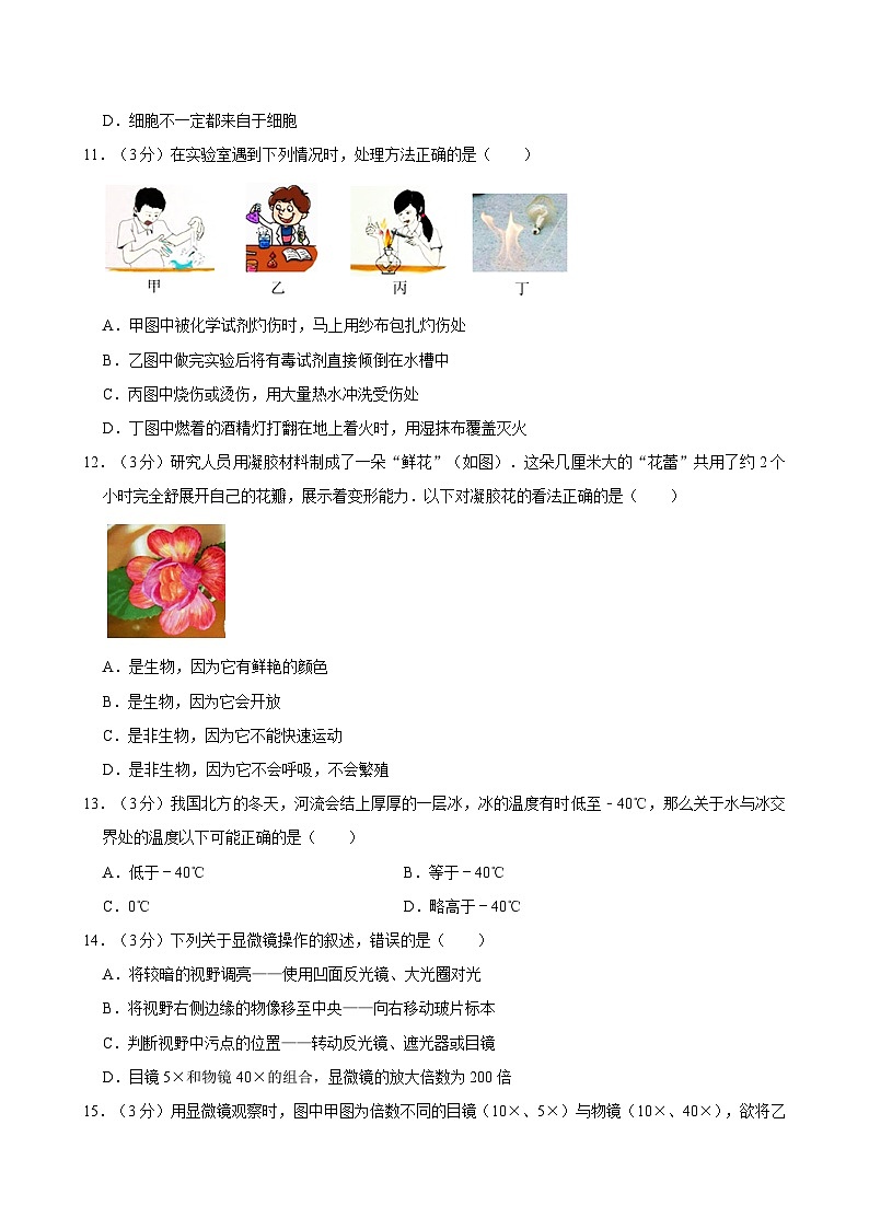 浙江省宁波市姚江中学2024-2025学年七年级上学期10月月考科学试题第3页