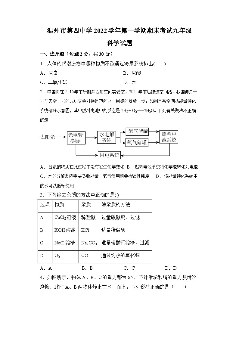 2022-2023学年浙江省温州市高铁新城实验学校九年级（上）期末科学试卷01