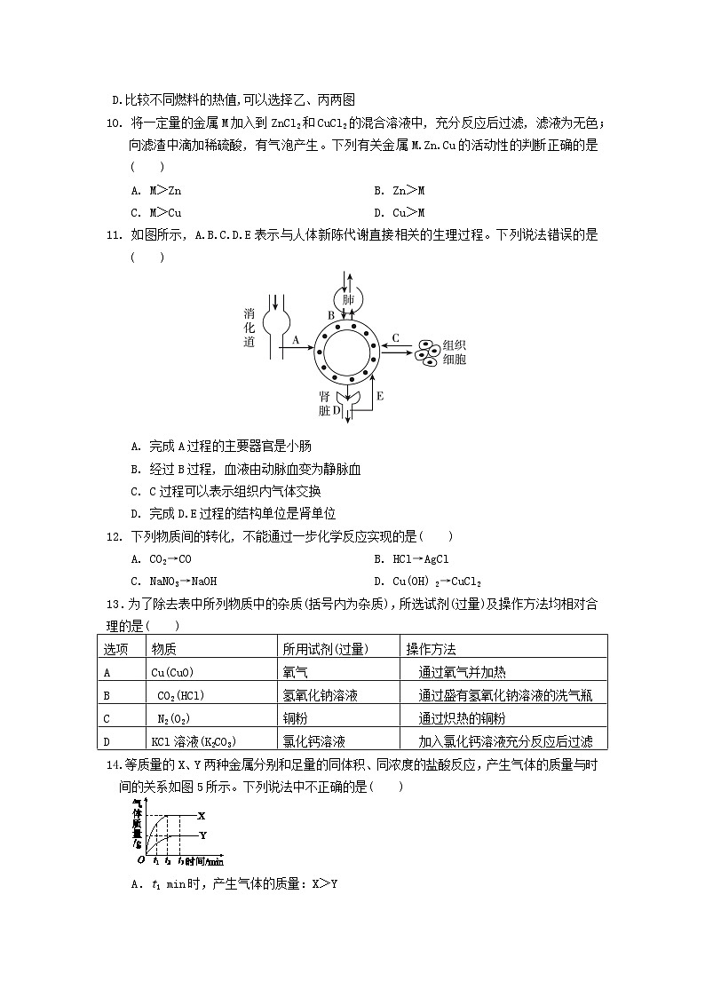 2023-2024学年浙江省杭州市拱墅区九年级（上）期末科学试卷第3页