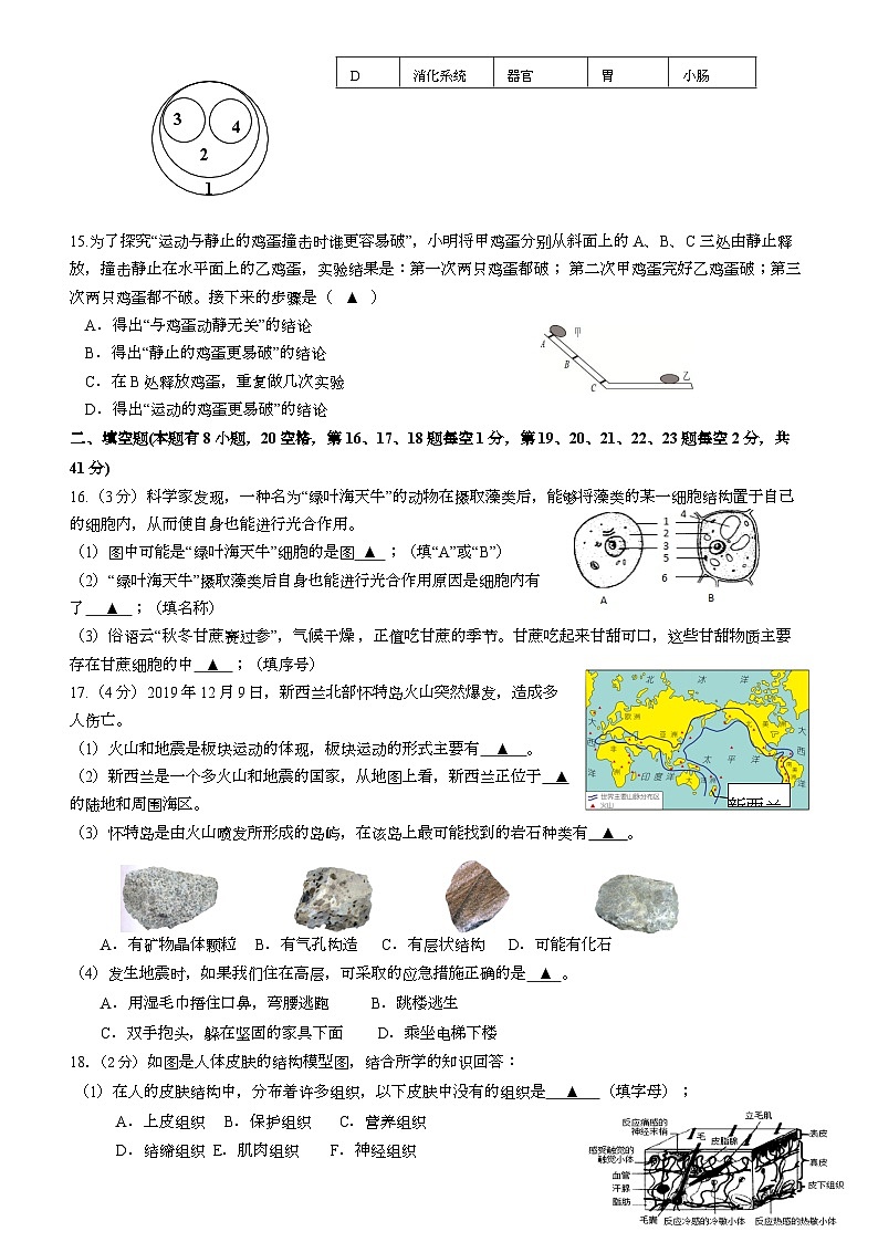 2023-2024学年浙江省台州市临海市七年级（上）期中科学试卷.03
