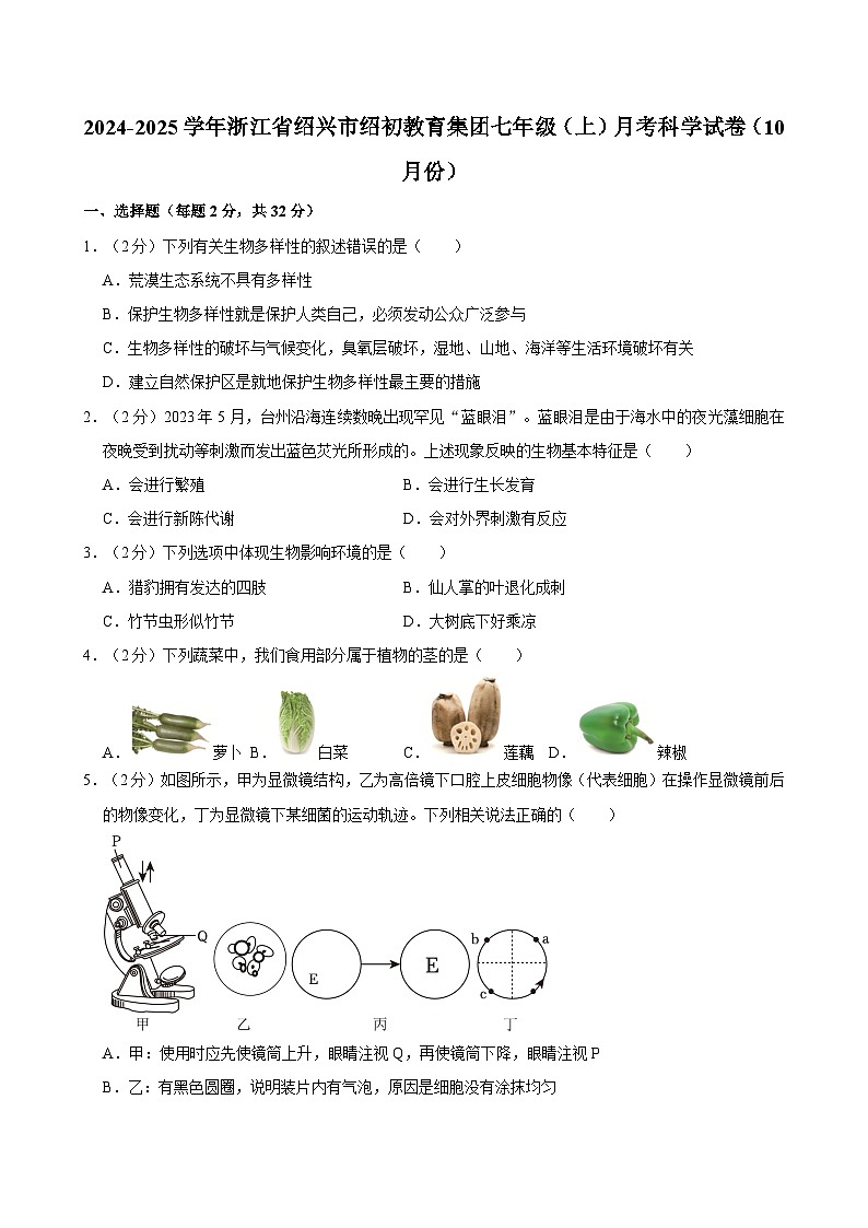 浙江省绍兴市绍初教育集团2024-2025学年七年级上学期10月月考科学试卷01
